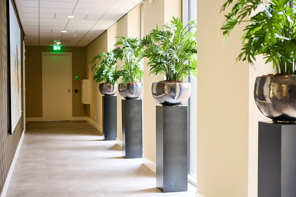 Hal bij De Laternagaarde in Almere