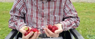 Bewoner van zorgvilla Villa St. Jozef met aardbeien